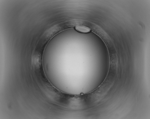 X0000111520119200907141515