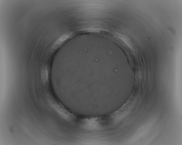 X0000111520120200907141515