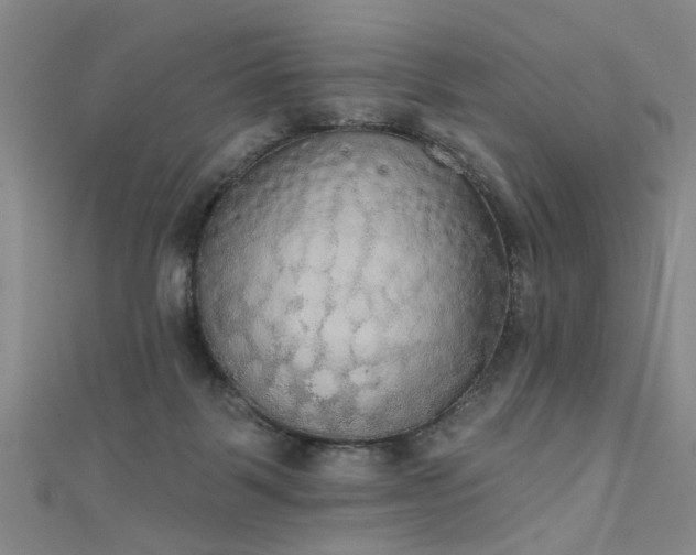 X0000111520123200907141515