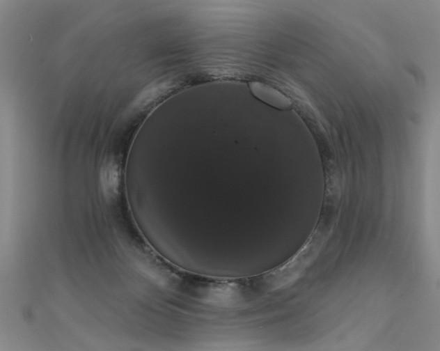 X0000111520124200907141515