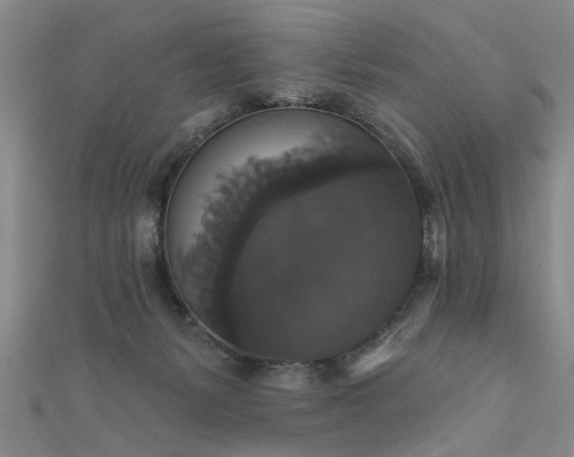 X0000111520127200907141515