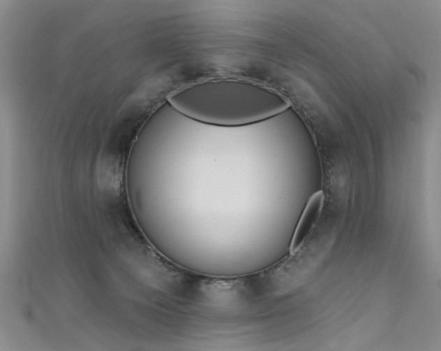 X0000111520129200907141515