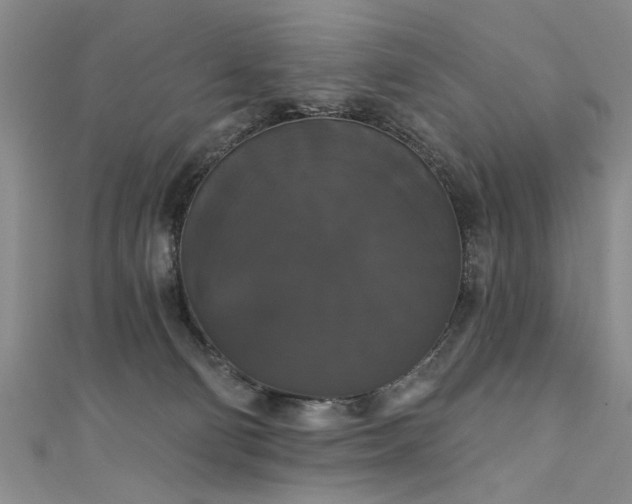 X0000111520130200907141515