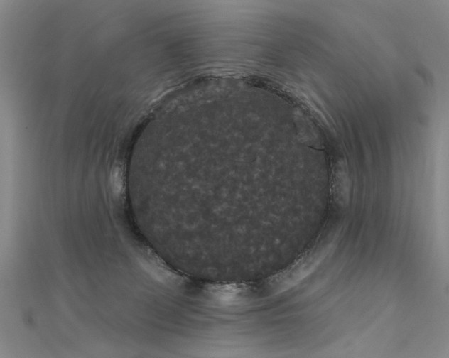 X0000111520131200907141515