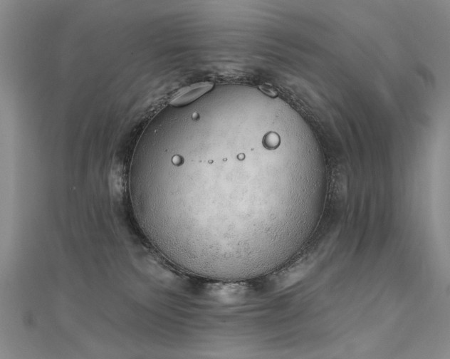 X0000111520135200907141515