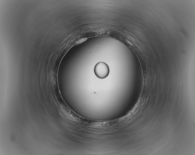 X0000111520136200907141515