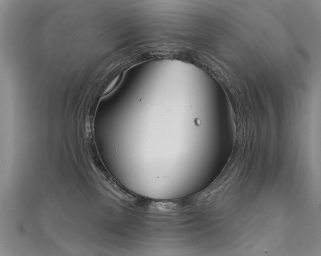 X0000111520137200907141515