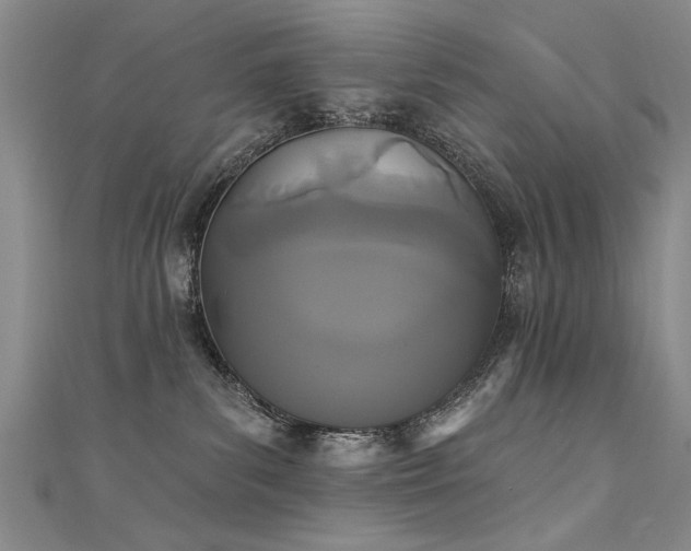 X0000111520139200907141515