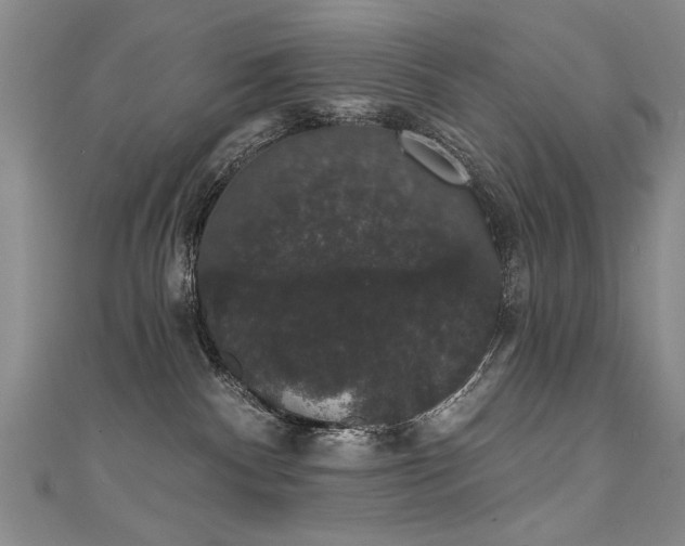 X0000111520140200907141515
