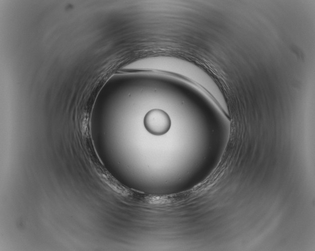 X0000111520141200907141515