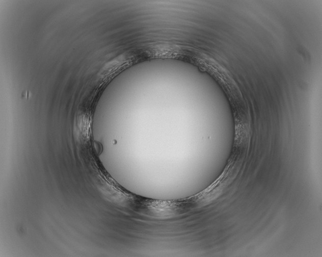X0000111520142200907141515