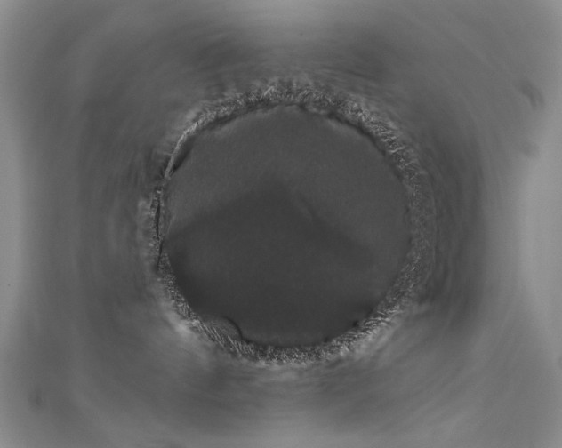 X0000111520144200907141515