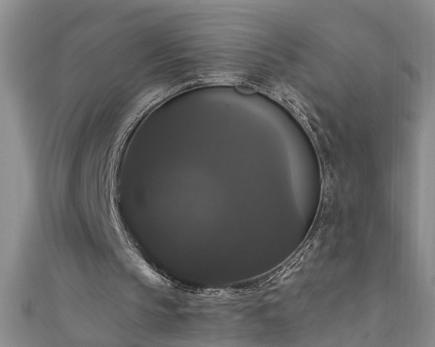 X0000111520145200907141515
