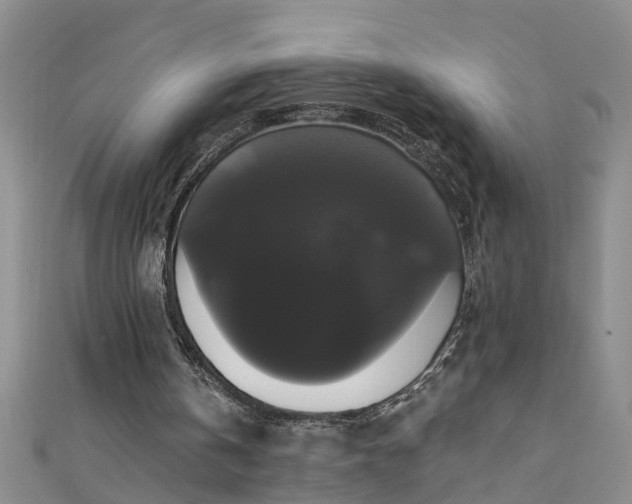 X0000111520146200907141515