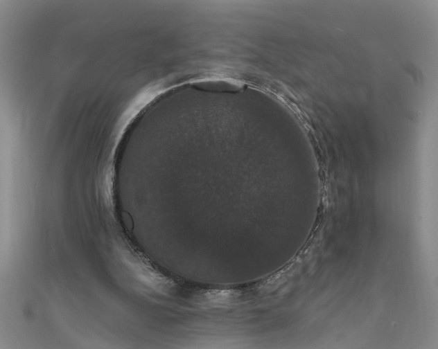 X0000111520152200907141515
