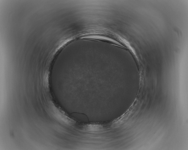 X0000111520154200907141515