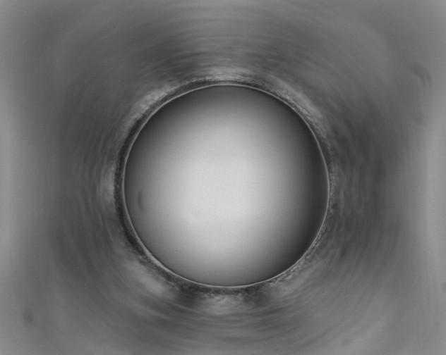 X0000111520155200907141515