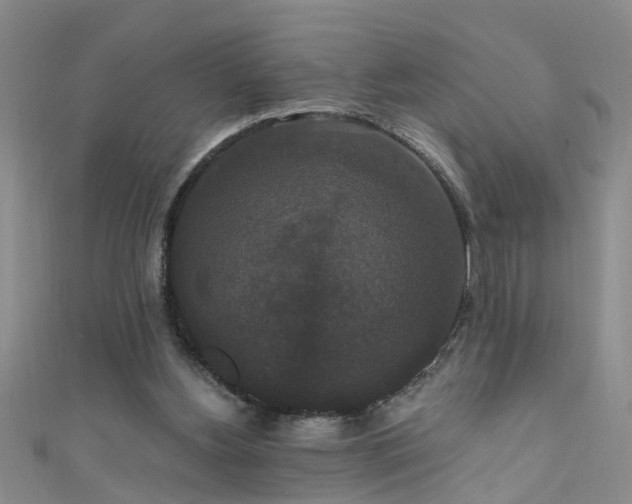 X0000111520156200907141515