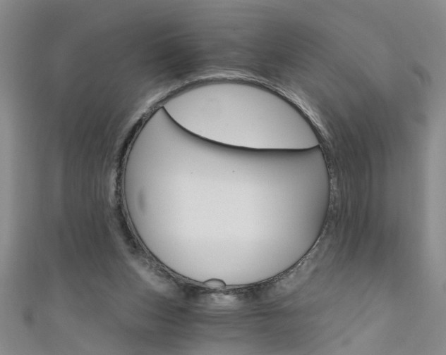 X0000111520159200907141515