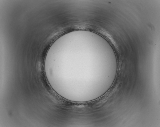 X0000111520161200907141515