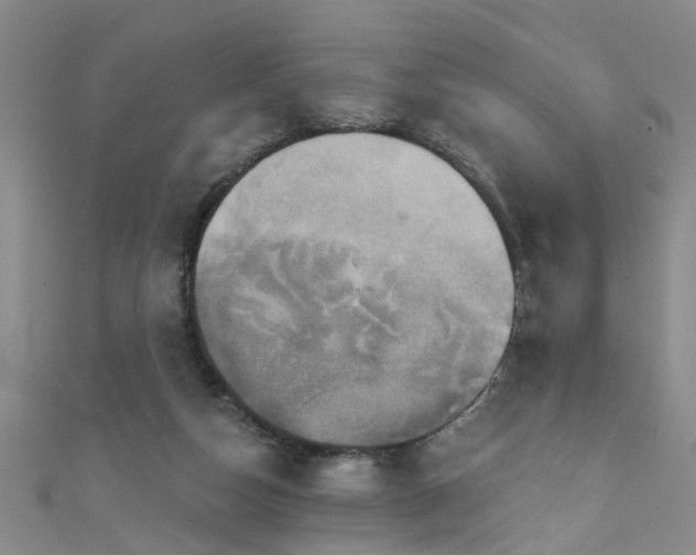 X0000111520162200907141515