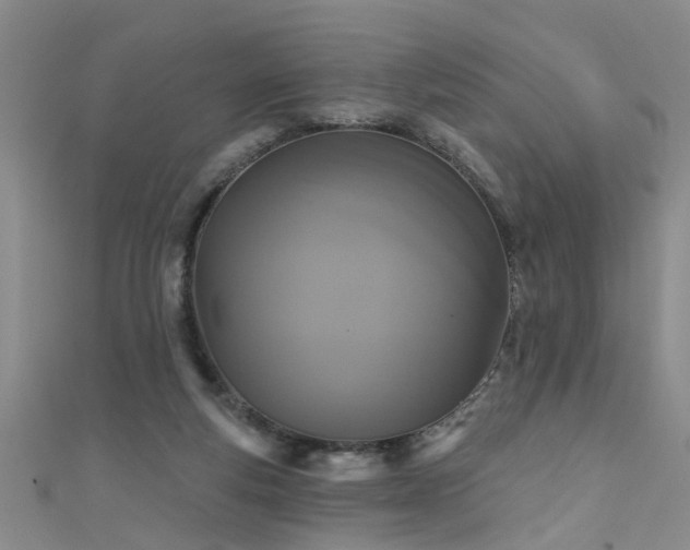 X0000111520163200907141515