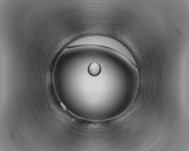 X0000111520164200907141515