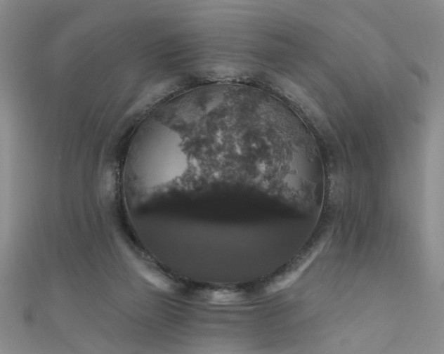 X0000111520165200907141515