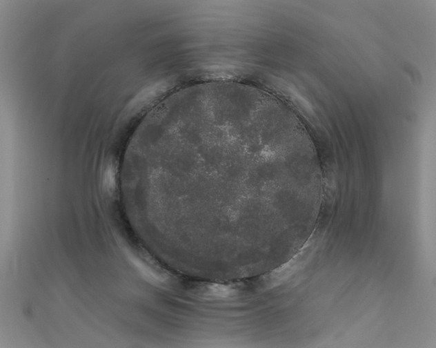 X0000111520166200907141515