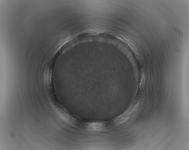 X0000111520168200907141515