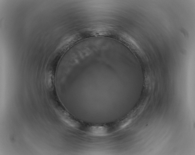 X0000111520169200907141515