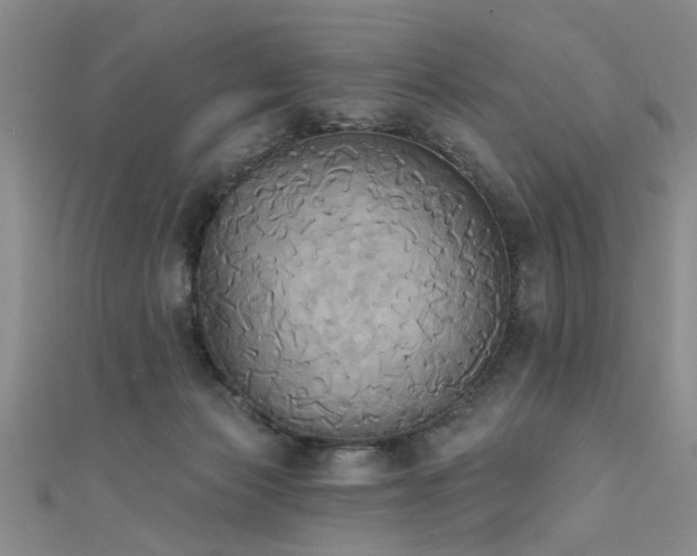 X0000111520173200907141515