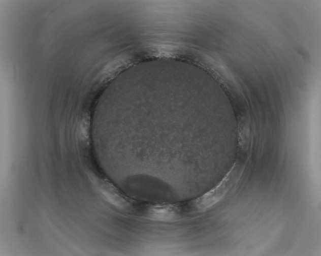X0000111520175200907141515