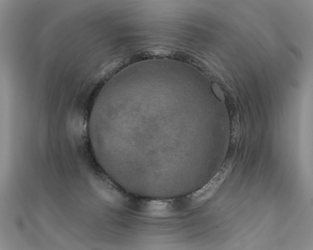 X0000111520176200907141515