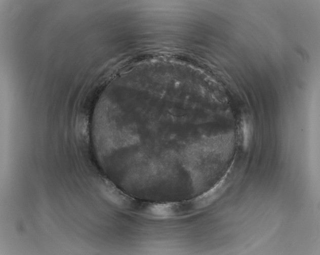 X0000111520178200907141515