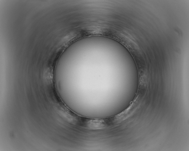 X0000111520179200907141515