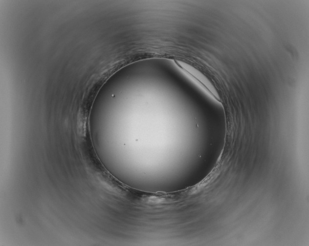 X0000111520180200907141515