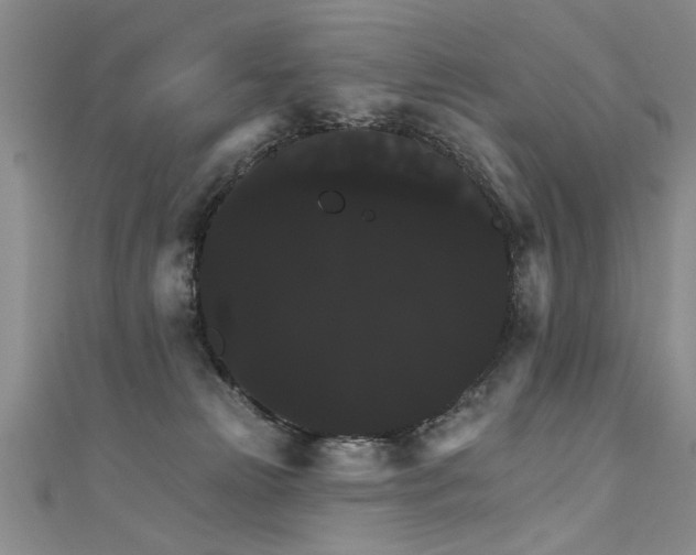 X0000111520181200907141515