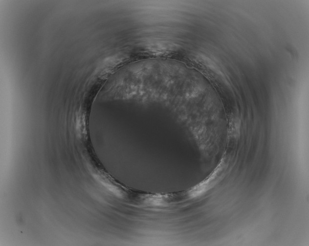X0000111520182200907141515