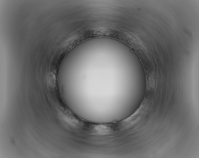 X0000111520183200907141515
