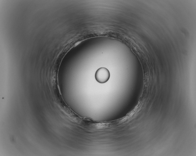 X0000111520184200907141515