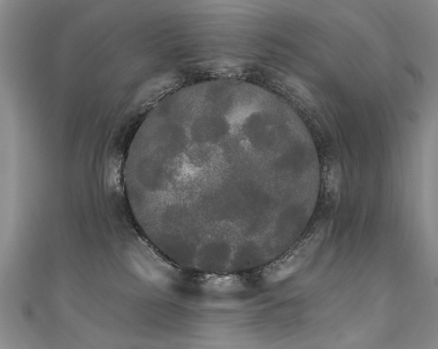 X0000111520185200907141515