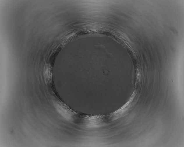 X0000111520186200907141515