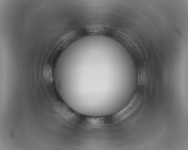 X0000111520187200907141515