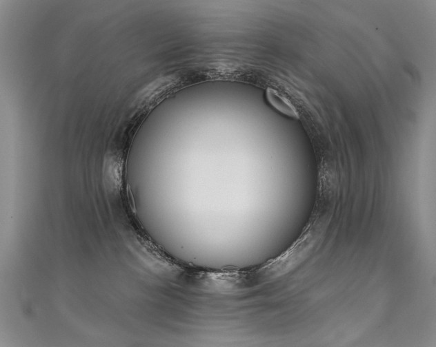 X0000111520188200907141515