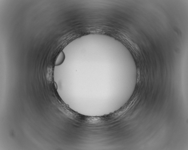 X0000111520189200907141515