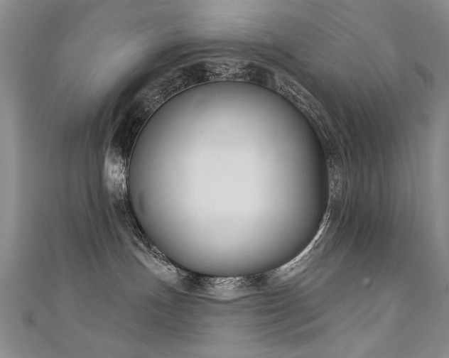 X0000111520191200907141515