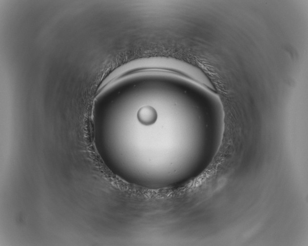 X0000111520192200907141515