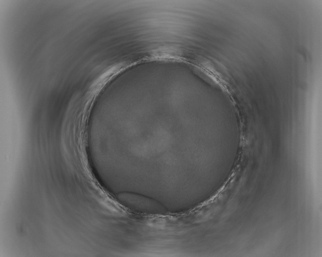 X0000111520193200907141515