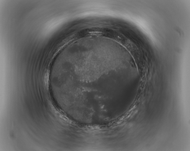 X0000111520194200907141514